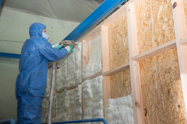 Best Insulation Contractor Near Me  in Simpsonville, KY